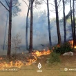 تحذير من ارتفاع خطر الحرائق في غابات شمال غربي سوريا