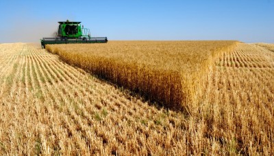 خبير زراعي موالي : العقوبات الاقتصادية الناتجة عن تطبيق قانون قيصر..ستكون اقل حدة على القطاع الزراعي
