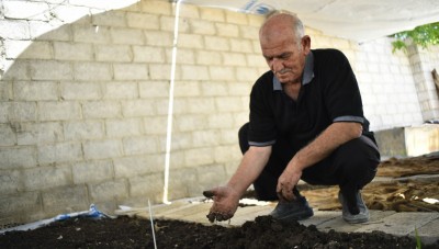 تعرف على أول مشروع زراعي من نوعه في سوريا .. تكاليف قليلة وأرباح كبيرة