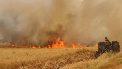 بهدف تجويع السوريين ...النظام السوري يتقصد حرق محاصيل  المزارعين خارج سيطرته