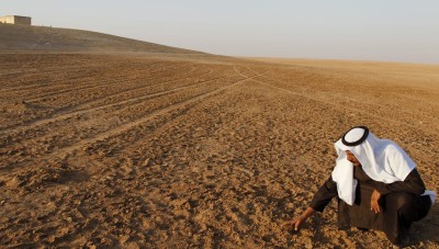 قطنا يدق ناقوس الخطر على محصول القمح