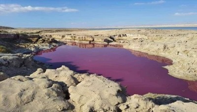 ما سر  ظاهرة المياه الحمراء في منطقة البحر الميت في الاردن ؟ ...خبير يفسر 