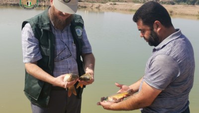 مدير الزراعة في الحكومة المؤقتة يجري جولة على احواض الأسماك بريف حلب