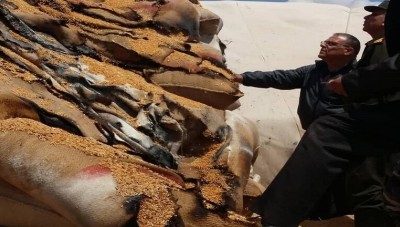 زراعة النظام تعلن أن التحقيقات مستمرة لكشف ملابسات حريق القمح في درعا
