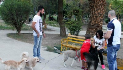  حكومة النظام تصدر قراراً  لتسجيل الكلاب الخاصة