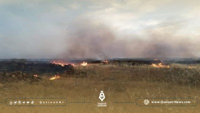 اندلاع عدة حرائق خلال  موسم الحصاد في مناطق إدلب