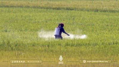 النظام يعترف بعدم القدرة على تأمين الأسمدة والبذور والوقود للمزارعين