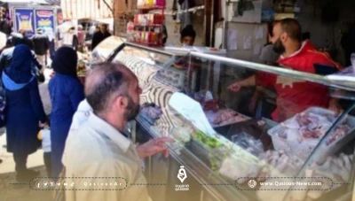 ايكوسال يقضي على 50%... ارتفاع أسعار الدجاج في دمشق