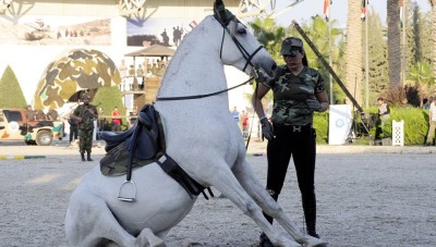 منال الجدعان زوجة ماهر الأسد تركب الحصان الجامح احتفالاً بـ«تشليحه البيجامة»..