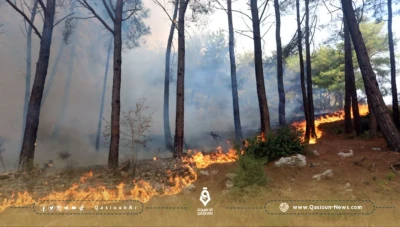 تحذير من ارتفاع خطر الحرائق في غابات شمال غربي سوريا
