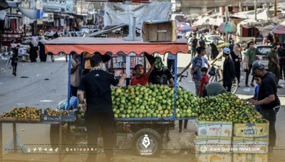 الأوتشا: الإمدادات الغذائية في غزة تكفي لبضعة أيام فقط