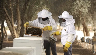 إنتاج العسل في سوريا ينخفض إلى النصف بسبب التغيرات المناخية