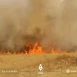 الإدارة الذاتية تكشف حجم الأراضي المتضررة إثر الحرائق شمال شرقي سوريا