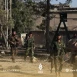 النظام يعتـقل عناصر من قوات الدفاع الوطني في البوكمال