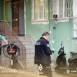 بالخطأ .. طفل يبلغ من العمر 5 سنوات يقتل والده بمسدس في قيصري بتركيا
