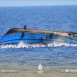 ضحايا سوريون بغرق قارب مهاجرين في البحر المتوسط