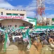"الشبكة السورية" تدين اعتداء "تحرير الشام" على إعلاميين في تظاهرة شعبية بإدلب