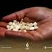 أكثر من 2000 موقوف .. النظام يقدر كميات المخدرات المصادرة في دمشق منذ بداية عام 2024