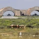عبر مطار الشعيرات... إيران تنقل أسلحة دقيقة إلى سوريا