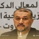 عبد اللهيان: اغتيال العاروري يشكل تهديدًا لأمن دول المنطقة