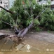 أضرار جسيمة خلفتها العاصفة المطرية في اللاذقية