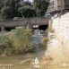 التلوث يغمر نهر بردى في ريف دمشق