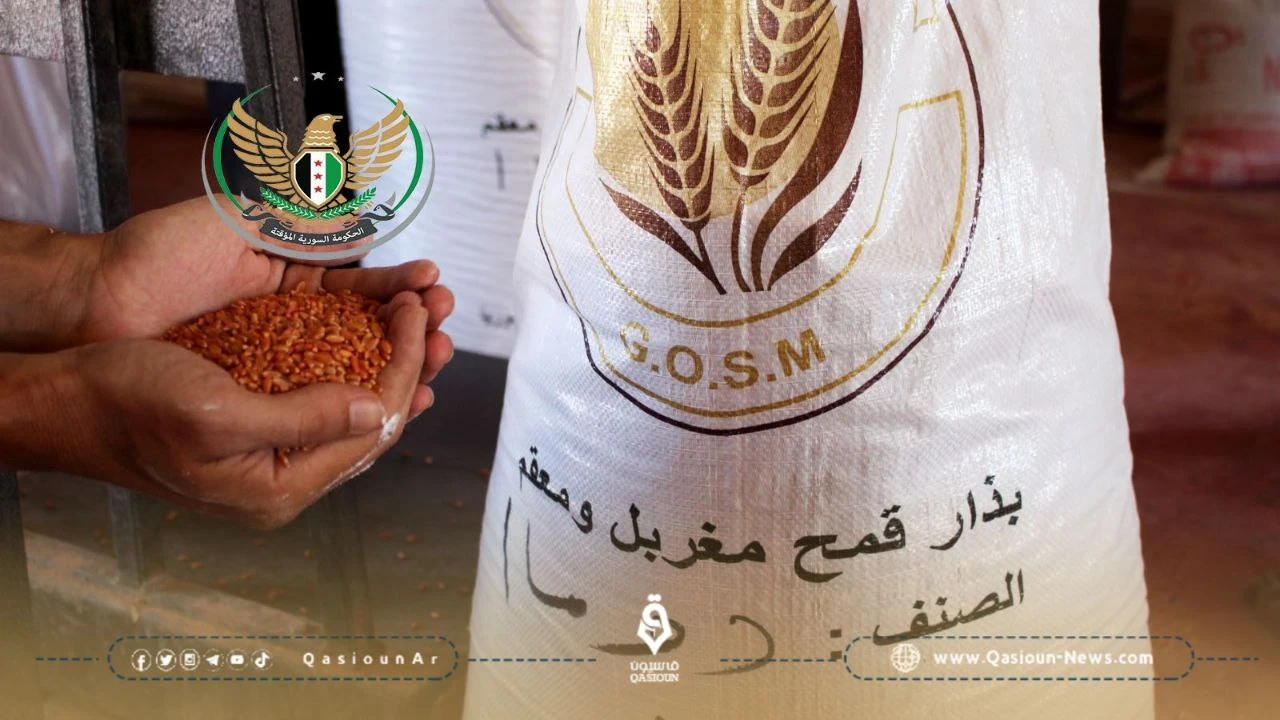 الحكومة المؤقتة تعلن بدء الاكتتاب لشراء بذور القمح السوري