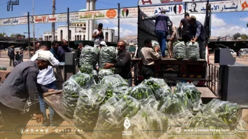 خبير اقتصادي: 94% من سكان سوريا يعانون من فقدان الأمن الغذائي