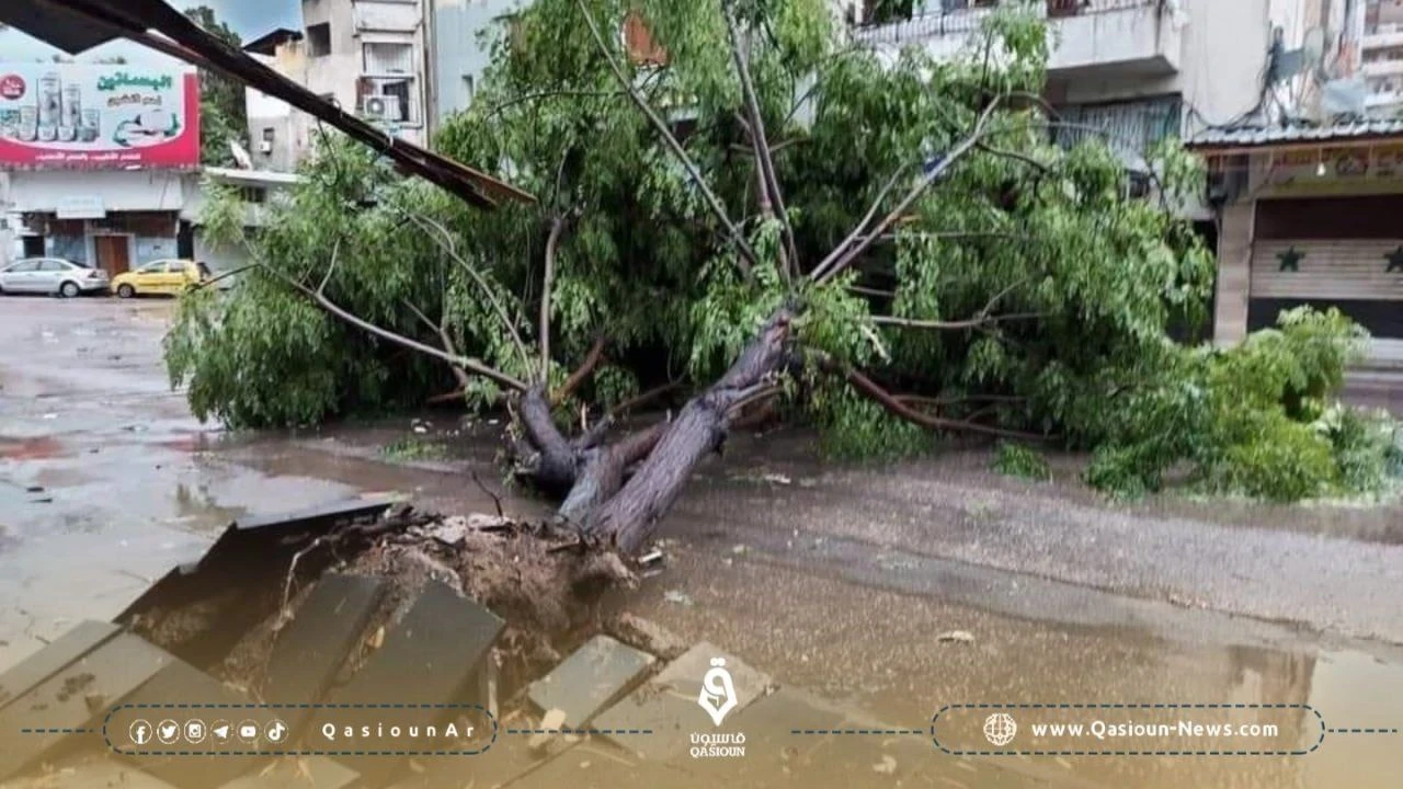 أضرار جسيمة خلفتها العاصفة المطرية في اللاذقية